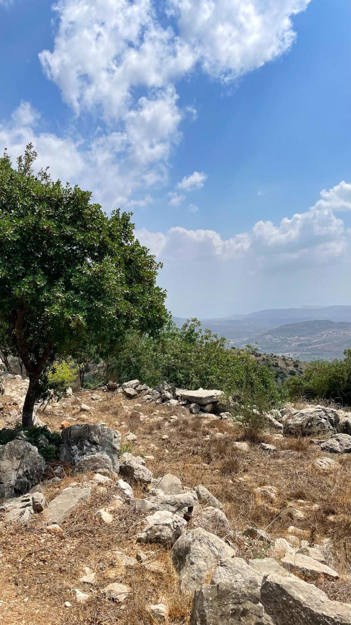 فيلا Live In The Woods Mikhmannim المظهر الخارجي الصورة
